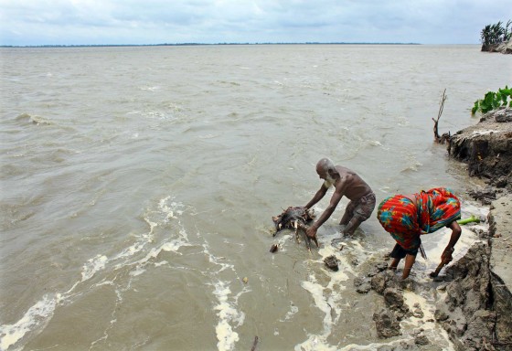 Devastating Jamuna