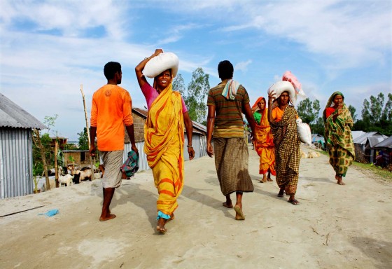 Devastating Jamuna